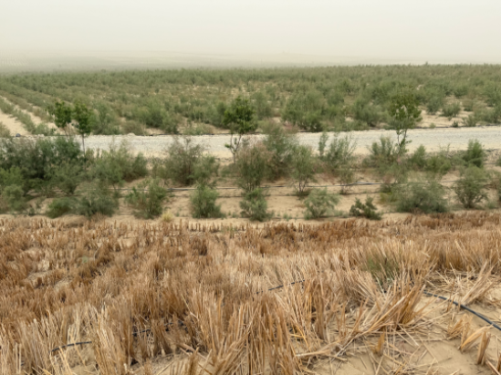 没有围墙的实验室便是一种心连心幸福教育的新式教育实践